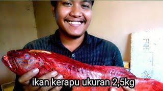 cara cepat potong ikan kerapu untuk di soup!!!!