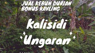Jual Tanah Kebun Durian Bonus 2 Kavling Kalisidi Ungaran Semarang|081384783223