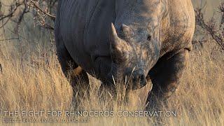 The Fight For Rhinoceros Conservation - Short Documentary