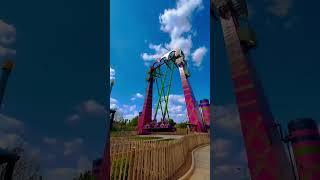  NEW Serengeti Flyer Ride at Busch Gardens Tampa! #shorts #buschgardens