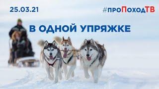 «В ОДНОЙ УПРЯЖКЕ»  #проПоходТВ 25.03.2021