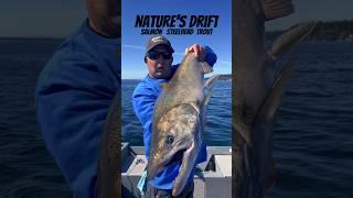 🪱Tricks Pt. Wilson Dart  Chinook Salmon #fishing #tacoma #washington #jigging