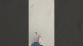 Silikat quietschender Sand  funny #thailand #verrückt #beach # crazy