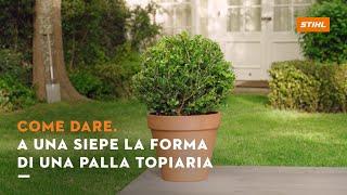 Tutorial: come realizzare una siepe a forma di palla topiaria