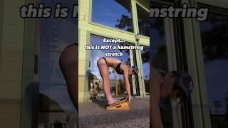 Hamstring stretch VS Nerve stretch