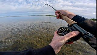 Chasing Big Sea Trout, On The Fly!!