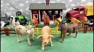 PLAYING WITH COWS, HORSES, PIGS, GOATS, TRACTORS AND TRUCKS / BRINCANDO COM VACAS, CAVALOS, TRATORES