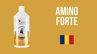 AMINO FORTE - CEST PHARMA - ROMANA