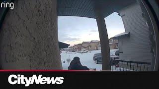 Porch pirate steals $2400 worth of packages in Edmonton