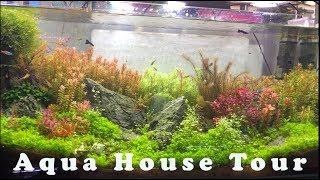 Aquarium House Tour #1 || R.R Aquarium House -Kathmandu|| ️