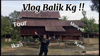 Finally Vlog Balik Kg !!! | kg tour, tangkap ikan, monyet n jalan2 