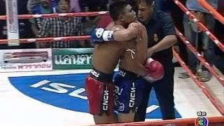 Professional Muay Thai from Thailand