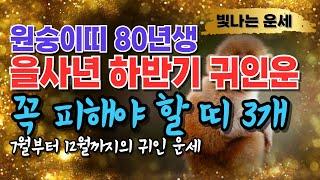 80년생 원숭이띠 2025년 운세 하반기 귀인운'이 띠' 3가지 천을귀인입니다 상극인 띠 '3가지' 경신년 80년생 운세 경신생 원숭이띠말년운 1980년생 재물운 을사년 하반기