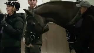 Valegro Where Is He Now??