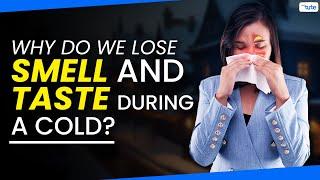 Why Do We Lose Smell and Taste During Cold | Reason Behind Lost Smell| Letstute