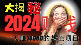 2024赚钱方法大揭秘：一天赚10000的灰色项目，那些做偏门灰色产业的人，是如何赚钱的？（我负责揭秘，你决定是否实操）网赚薅羊毛野路子翻身上岸项目（Mars賺銭）