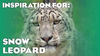 7 Real Snow Leopard Habitats! (Planet Zoo Inspiration)