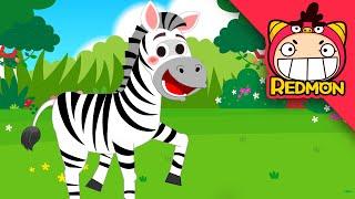 Zebra song | Animal Songs | Nursery rhymes | REDMON