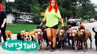 Life With 30 Dogs  | Furry Tails