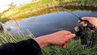 Я в Шоке откуда здесь столько рыбы , рыбалка на микро речке, fishing 