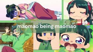 maomao being maomao