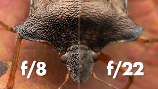 Macro Photography Diffraction – Explained Simply!