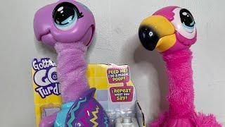 New! Gotta Go Turdle Unboxing Little Live Pooping Toilet Toy! #gottagoflamingo #gottagoturdle