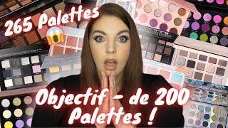 Collection de Palettes & Declutter 2024 pt1 : Objectif - de 200 Palettes ! 