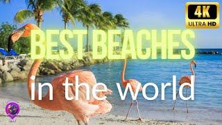 Ultimate Travel Guide: Top 10 Best Beaches in the World | 2024 Beach Bucket List!