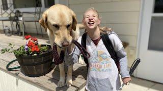 Ruby's After School Routine | Blind Teen and Service Dog