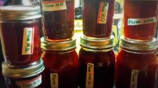 dancing plums