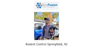 Rodent Control Springfield, NJ - EcoFusion Pest Control