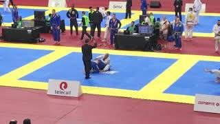 Gracie Pro 2018 Semi