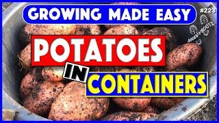 223  GROW POTATOES IN CONTAINERS  GROWING MADE EASY  STEP BY STEP GUIDE 