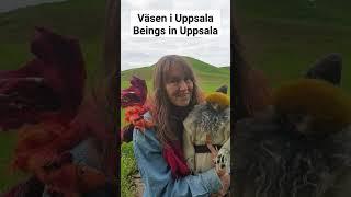 Väsen i Uppsala - Beings in Uppsala