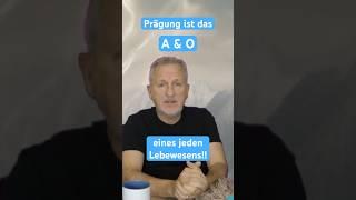 Prägung - wichtigstes Element der Menschen!!