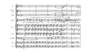 Giuseppe Verdi - Morrò, ma prima in grazia [Maria Callas]