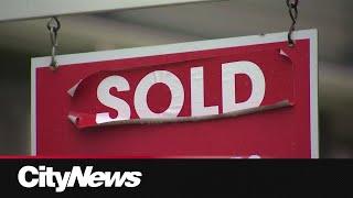 Is Edmonton’s housing market booming?