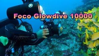 Glowdive 10000