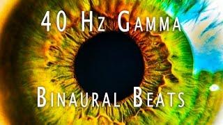 Gamma Wave Binaural Beats 40Hz | WARNING! Super Intense! | 15 Minutes Advanced Thinking and Focus