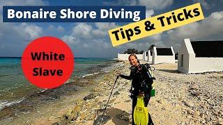 Bonaire Shore Diving Tips & Tricks - White Slave