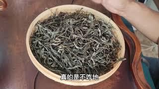 普洱茶一定就是树大就好了吗？