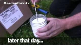 How To Make Yogurt in a Solar Oven