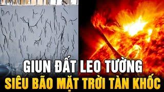 Kinh hãi giun đất leo tường ở Vũng Tàu; Cảnh báo siêu bão mặt trời có sức tàn phá khủng khiếp!