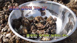 [ENG] 영종도 굴따러 가는 날! 푸짐한 물회랑 오션뷰 커피는 덤~ | KOREA, ocean view cafe, mulhoe, oyster stew, korean food