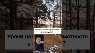 Чего не стоит ожидать на уроках налоговой грамотности?? #налоги #налоговыйвычет #налогивроссии