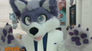 Packgod vs Omegle Furry