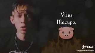 Lagu TEMOLLA Versi || nama virus