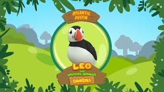 Atlantic Puffin - Leo The Wildlife Ranger Animal Diaries | Animal Facts for Kids