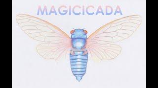 Magicicada - Intimacy